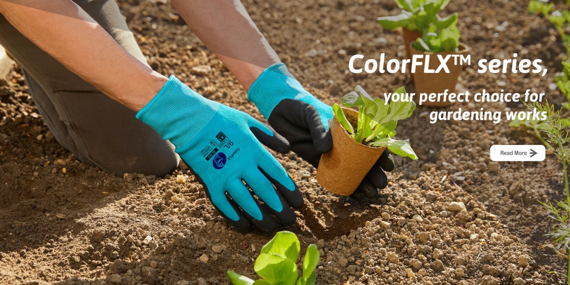 Vtrust Safety Factory